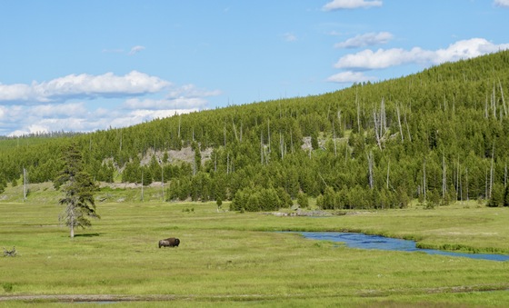Yellowstone National Park