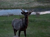 Rocky Mountain National Park