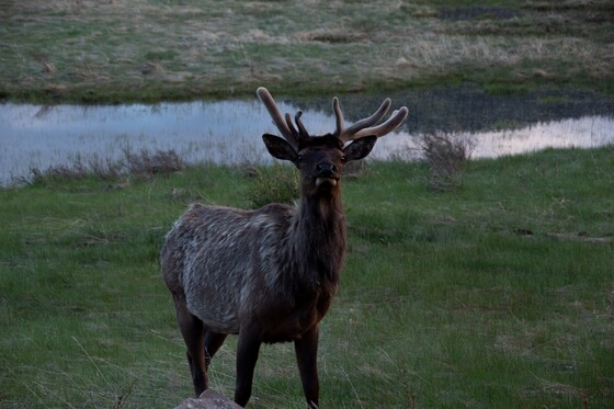 Rocky Mountain National Park