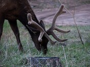 Rocky Mountain National Park