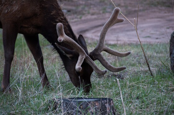 Rocky Mountain National Park