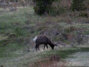 Rocky Mountain National Park