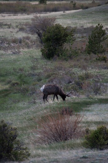Rocky Mountain National Park