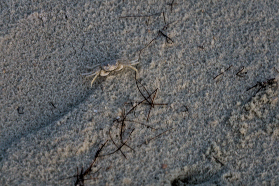 Gulf Islands National Seashore