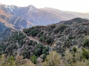 Sequoia National Park