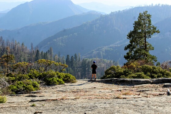 Sequoia National Park