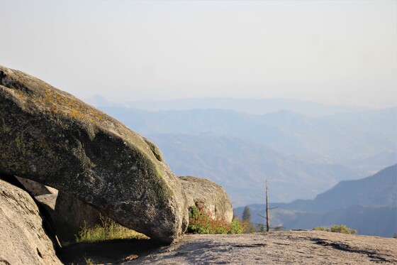 Sequoia National Park