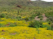 Day Mine, Safford Field Office