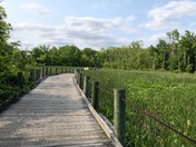George Washington Memorial Parkway
