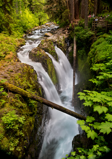 Olympic National Park