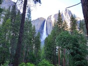 Yosemite National Park