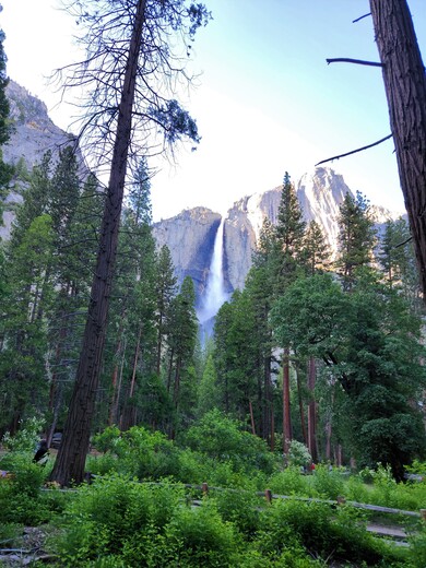 Yosemite National Park