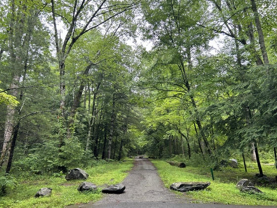 Great Smoky Mountains National Park