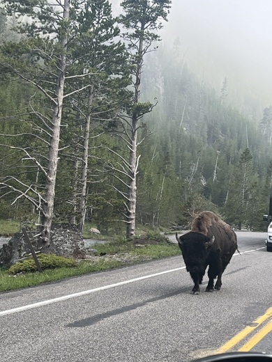 Yellowstone National Park