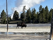 Yellowstone National Park