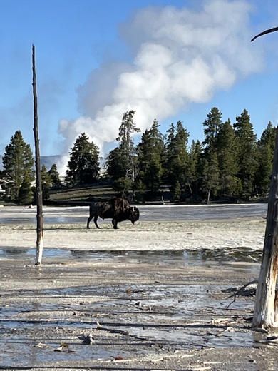 Yellowstone National Park