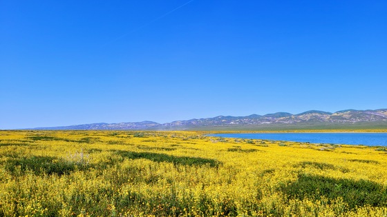 Carrizo Plain National Monument