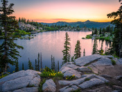 Uinta-Wasatch-Cache National Forest