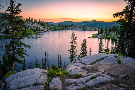 Uinta-Wasatch-Cache National Forest