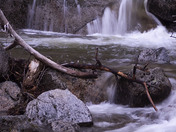Yosemite National Park