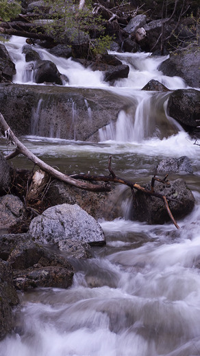 Yosemite National Park