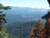 Plumas National Forest
