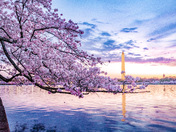 National Mall and Memorial Parks