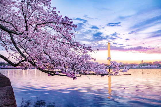 National Mall and Memorial Parks