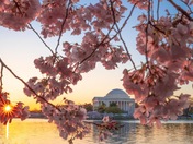 National Mall and Memorial Parks
