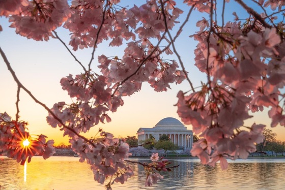 National Mall and Memorial Parks