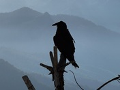 Sequoia National Park