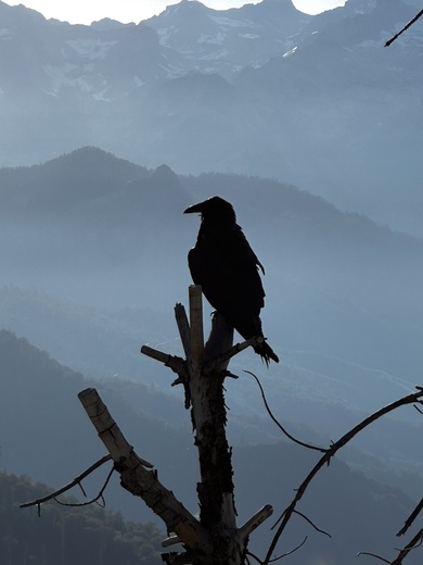 Sequoia National Park