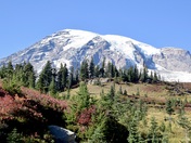 Mount Rainier National Park