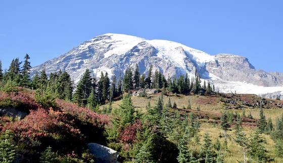 Mount Rainier National Park