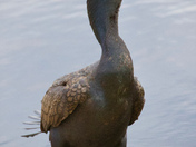 Arthur R Marshall Loxahatchee National Wildlife Refuge