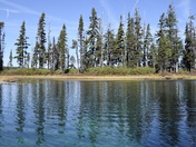 Willamette National Forest