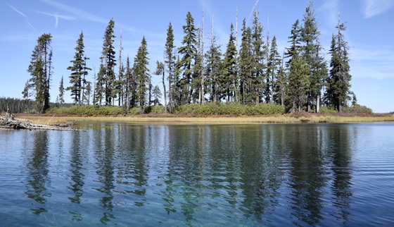 Willamette National Forest