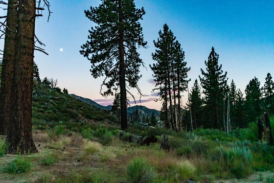 South Sierra Wilderness