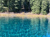 Willamette National Forest