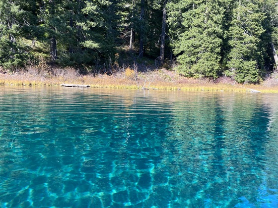 Willamette National Forest