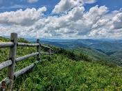 Pisgah National Forest