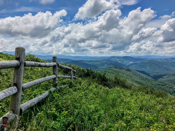 Pisgah National Forest
