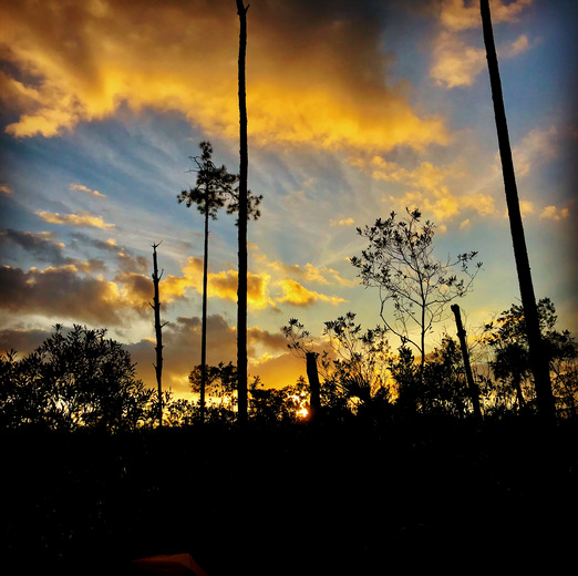 Big Cypress