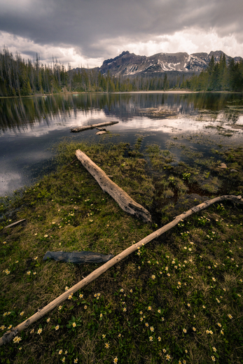 Uinta-Wasatch-Cache National Forest
