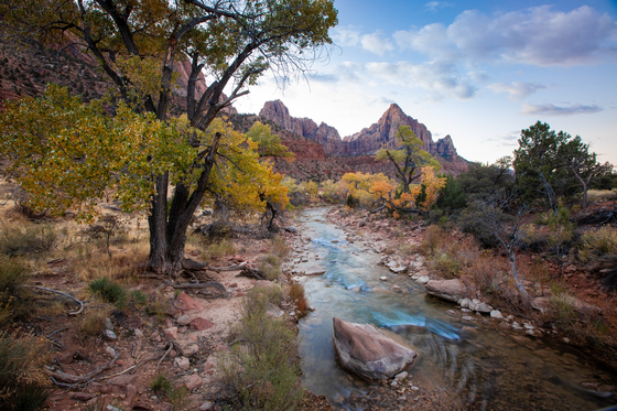 Zions National Park