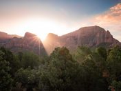 Zions National Park