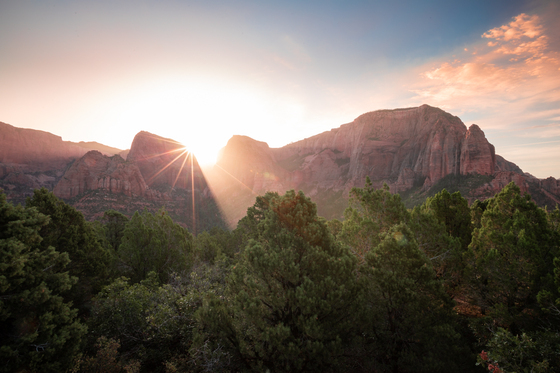 Zions National Park