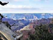 Grand Canyon National Park, North Rim