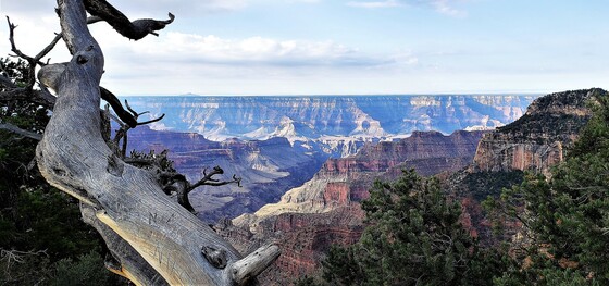 Grand Canyon National Park, North Rim