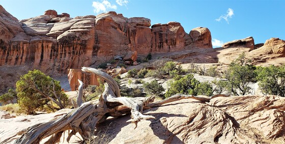 Arches National Park